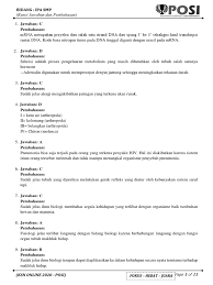 Energi kinetik objek ketika mencapai ketinggian 3 m dari tanah adalah …. Kunci Jawaban Dan Pembahasan Soal Ipa Smp Ksn Online Pdf