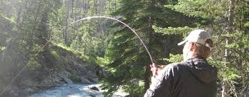 June 16, 2026 Spring/Summer Chinook Update