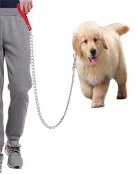 Amazon Com Hg Kangqi Heavy Duty Dog Chain Dog Leash For