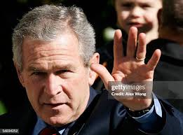 10,603 Laura White Photos & High Res Pictures