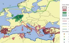 The vampire angelus, now known as angel, has a human soul, but committed terrible. The Changed Distribution Of Bluetongue Virus And Its Vectors In Europe Download Scientific Diagram
