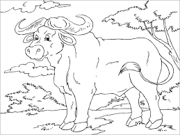 Check out our buffalo coloring selection for the very best in unique or custom, handmade pieces from our shops. Realistic African Buffalo Coloring Page Coloringbay