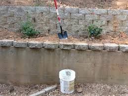 But soil that is too alkaline makes it difficult for plants to fully access the nutrients they need. Well I Went And Did It Say Hello To The Blueberries Helpfulgardener Com