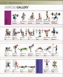 Image Result For Iron Gym Pull Up Bar Workout Chart Bar