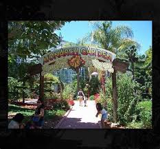 We did not find results for: Gilroy Gardens Park Map 2021 Gilroy Gardens One Man Dreamed Of Trees Part 2 Rides Include The Quicksilver Express Mine Coaster Themed After A Local Abandoned Mine South County Backroads