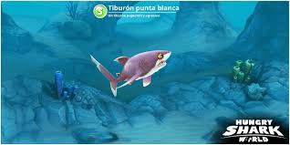 Pin By Paulo Rojo On Tiburones Shark Fish Pet Animals