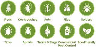 We are revered as one of the most respected and trusted. Textile Inspect Pest Control The Carpet Doctor