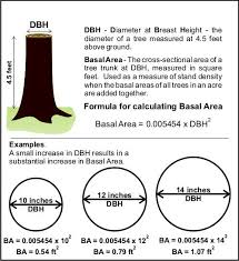 Estimating And Understanding Forest Soil Productivity