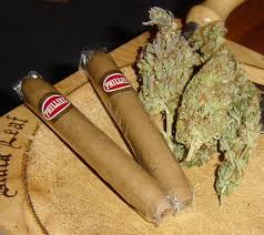 A box of swisher sweets cigarillos is the perfect box of cigars for those who want high quality smokes without spending a fortune. Phillies Blunt Posts Facebook