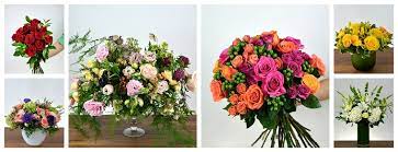 We did not find results for: The 16 Best Flower Delivery Options In Montreal 2021