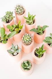 With this file you will be able to create awesome and unique greeting cards and logos, all kinds of designs with cactus watercolor painting is scanned with high resolution and has a transparent background. How To Color Plaster With This Secret Ingredient Diy Planters Made Of Plaster