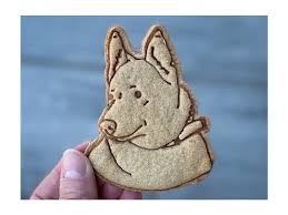 Image result for západosibiřská lajka