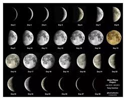 Swbat model the phases of the moon. How Many Moon Phases Are There Quora