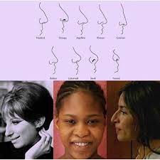 Nice Try Sweaty On Instagram Nose Appreciate Post All Noses Are Good There S Definitely More Noses Than The Type Crooked Nose Curved Nose Nose Piercing