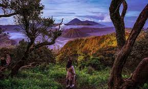 Dan berikut ini adalah 10 gunung yang memiliki pemandangan paling indah di indonesia. 10 Foto Pemandangan Gunung Terindah Di Indonesia Untuk Didaki View Puncak Sunrise Sunset Jejakpiknik Com