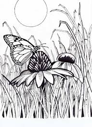 Coloring pages for kids all the coloring pages you will ever need. Butterfly Coloring Pages For Adults Image Inspirations Difficult Bing Images With Kids All Slavyanka