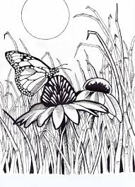 Back to coloring pages book. Pin On Coloring