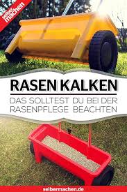 Rasen Kalken Aber Richtig So Wird Dein Rasen Wieder Kraftig Und Grun Rasen Rasenpflege Garten Pflanzen