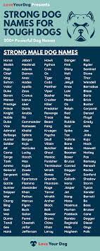 Tough Dog Names 200 Strong Powerful Names For Male Dogs