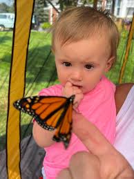 Carson Renner took her Grandparents to the garden today and they hunted  butterflies and frogs. Craig and Peggy Flenker from Maquoketa.