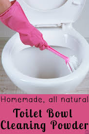 Toilet Bowl Cleaning Powder Clean Toilet Bowl Toilet Bowl Cleaning