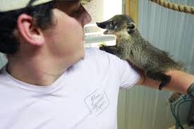 Blue Springs Safari offers up-close look at animals