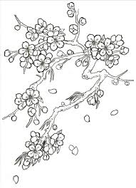 Vampire Kitty13 2008 S Image Flower Drawing Blossoms Art Cherry Blossom Drawing