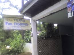 Memorial church of exiled serbs in the uk known as 'lazarica'. Work And Play At Barili Cebu Life Hacks For Polymaths