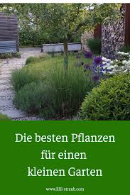 Garten anlegen dachte ich wäre etwas für profis. Die Besten Pflanzen Fur Einen Kleinen Garten Garten Bepflanzen Baume Garten Kleiner Garten