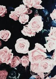 We did not find results for: Cute Light Pink Flower Wallpaper