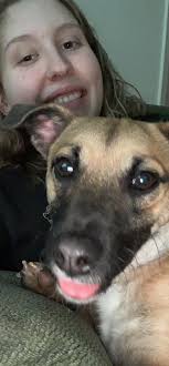 Y'all my baby girl Shenzi is missing in Blue Ridge Ga near Fannin wrecker  off of Chestnut Gap. She got out last night and we haven't seen her since.  If anyone sees