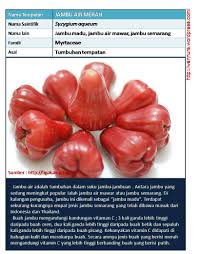 We did not find results for: Jambu Air Merah Wannura
