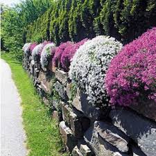 Gartengestaltung Mit Mauern Pflanzen Garten Steingarten