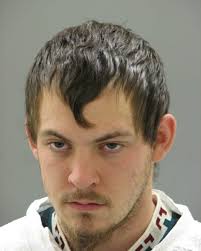 Police dogs help chase down man who assaulted girlfriend