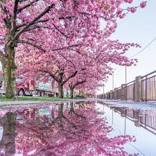 Check spelling or type a new query. Friday March 20th 2020 Good Morning Viewing Nyc