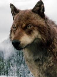 Werewolf Alaca Karanlik Resimler Karanlik