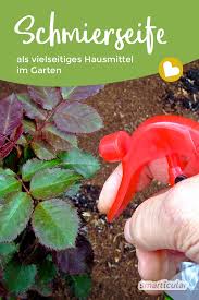 Schmierseife Im Garten Vielfaltig Einsetzbares Hausmittel In 2020 Schmierseife Hausmittel Blumen Fur Garten