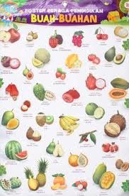 Maybe you would like to learn more about one of these? Jual Best Seller Mainan Gambaran Poster Seri Buah Buahan Di Lapak Arinpratiwi159 Bukalapak