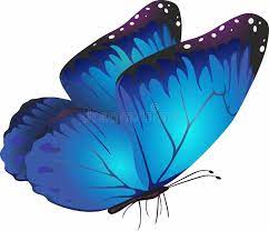 Maybe you would like to learn more about one of these? Butterfly Side Stock Illustrations 978 Butterfly Side Stock Illustrations Vectors Clipart Dreamstime