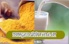 Zerdecalli Sutun Faydalari Nelerdir Gida Zerdecal Sut