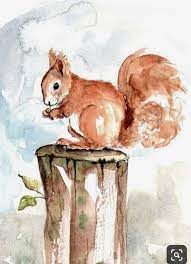Mit wenig aufwand ein gesicht zeichnen. Pin Von Marta Vitorio Auf Studio Ideas Aquarellbilder Aquarellmalerei Eichhornchen Malen