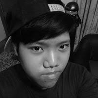 Vincent Cai (cai3971)