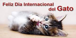 Un muy tardío dibujo para conmemorar el día del #link. Dia Internacional Del Gato Entrefans Com
