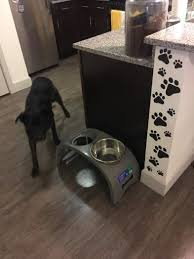 Looking for the perfect kitchen utensils to take your cooking game up a notch? 27 Dog Themed Products That Ll Make Your Kitchen So Much More Adorable
