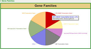 pie chart for gene family distribution multiple gene search