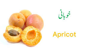 All Fruit Names In English And Urdu With Pictures Download Pdf Fruits Name In English Fruit Names Fruit