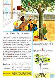 Manuels Anciens Orieux Everaere Exercices D Observation Ce1 1972 Ce1 Lecon De Choses Tilleul