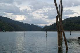 This is the home of more than 3. Visiting Royal Belum And Temenggor National Parks Happy Go Kl