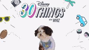 30 Things With Whiz Pup Academy Disney Channel Youtube In 2021 Pup Disney Channel Academy