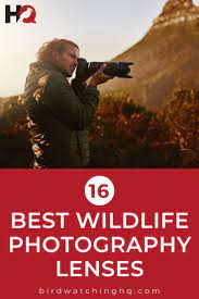 16 Best Lenses For Wildlife Photography Nikon Canon Bird Watching Hq Wildlife Photography Wildlife Photography Lenses